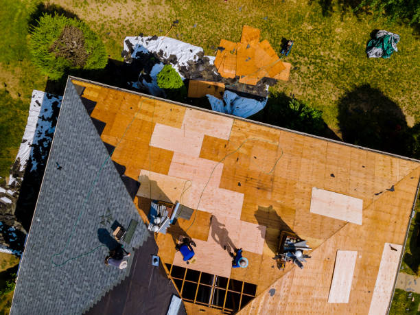 Best New Roof Installation  in Alpena, MI