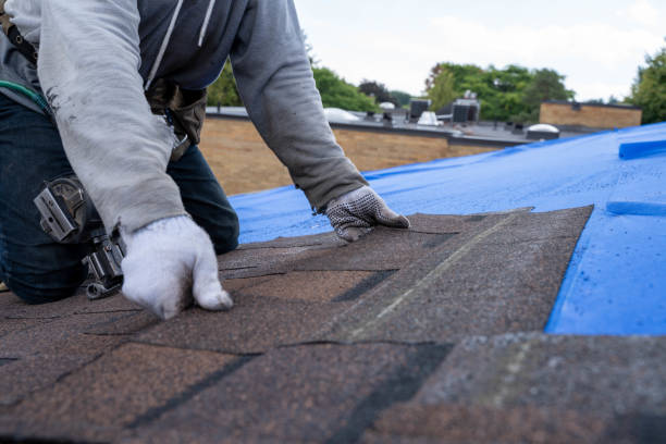 Best Flat Roof Repair Services  in Alpena, MI