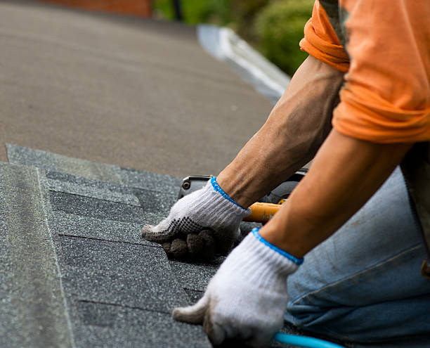 Best Metal Roofing Contractor  in Alpena, MI